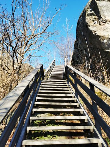 A low angle shot of stairs with trees and a big boulder on the side in Larvik, Norway