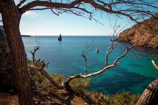 The sea surrounded by rocks and greenery under the sunlight in Ibiza