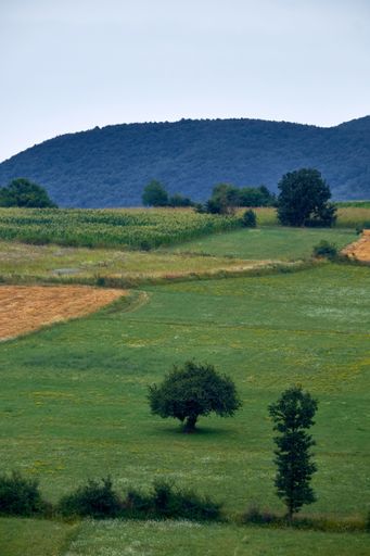 A vertical picture of a field surrounded by hills covered in forests under a cloudy sky