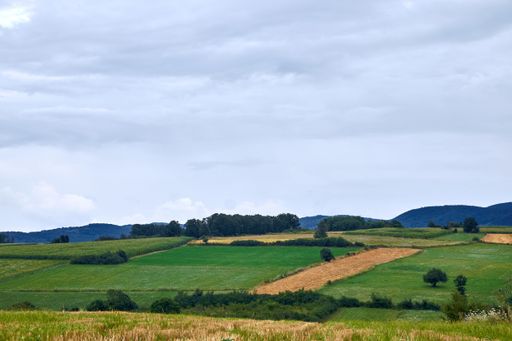 A landscape of fields surrounded by hills covered in greenery under the cloudy sky