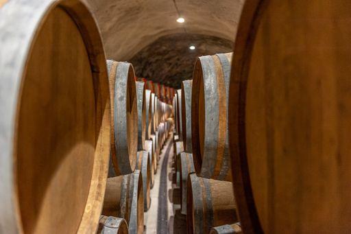 The rows of wooden wine barrels in a cellar