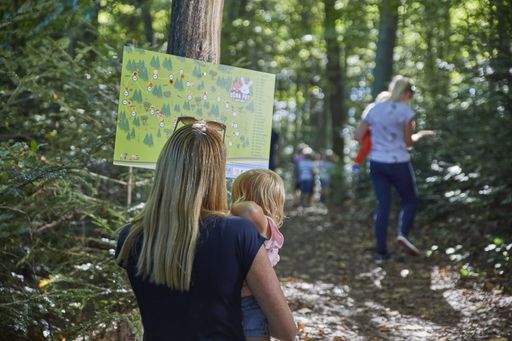 Young children discover and explore beauty of nature in a green resort forest.