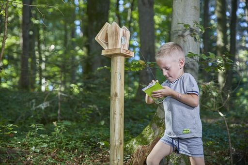 Young children discover and explore beauty of nature in a green resort forest.