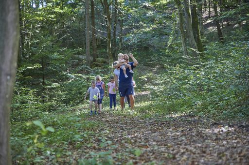 Young children discover and explore beauty of nature in a green resort forest.