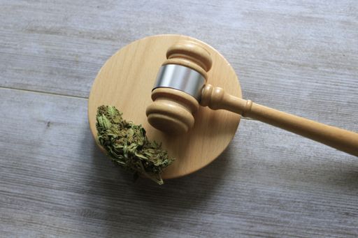 A closeup shot of cannabis on a judge gavel - the concept of marijuana legalization