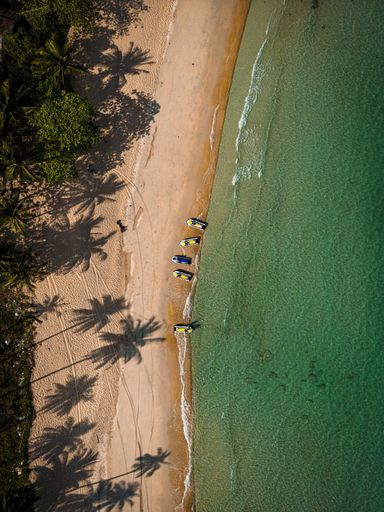 An aerial vertical shot of a tropical beach featuring palm trees and a few boats near the waterfront