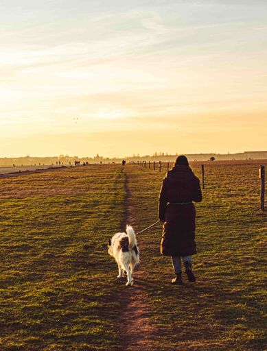 A vertical shot of a  young woman  taking her beloved pet dog for a walk on a sunny day