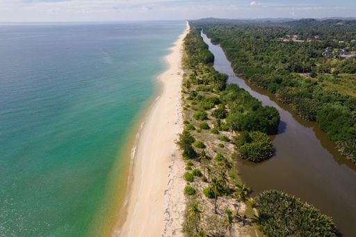An aerial view of a sandy beach near the river surrounded by lush t