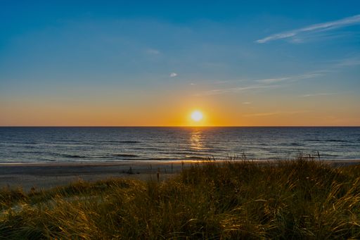 A scenic view of a path through a sandy beach covered with greenery at sunset