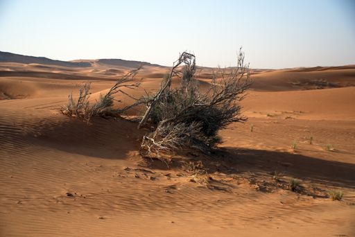 A beautiful shot of the pink rock desert under a clear sky in the United Arab Emirates