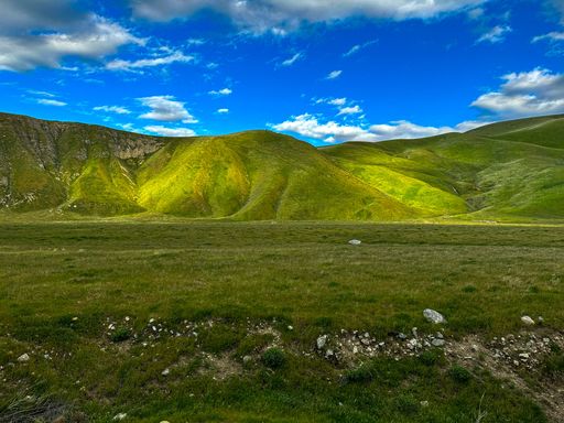 A tranquil landscape featuring lush green grassy fields and a majestic mountain range in the backdrop
