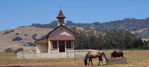 Two beautiful horses graze in a picturesque farm setting, with a stunning church in the background