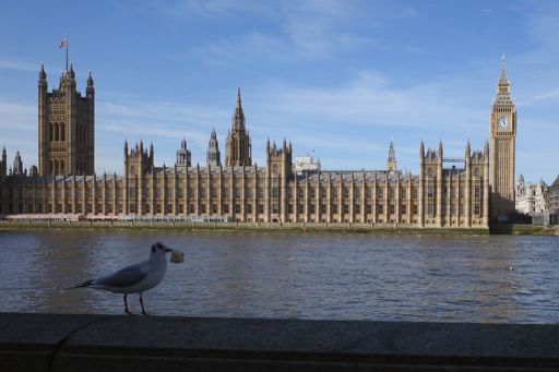 A bird perched against the Big Ben and Houses of Parliament on the banks of the River Thames in London