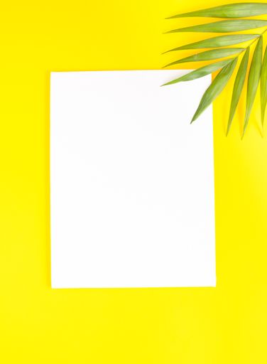 A vertical shot of a white canvas on a vibrant yellow background with tropical leaf on one border - copy space in the middle