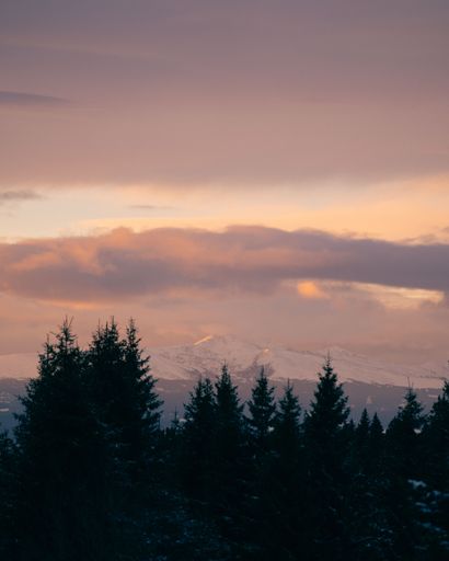 A majestic snow-covered mountain with evergreen trees in the foreground at sunset