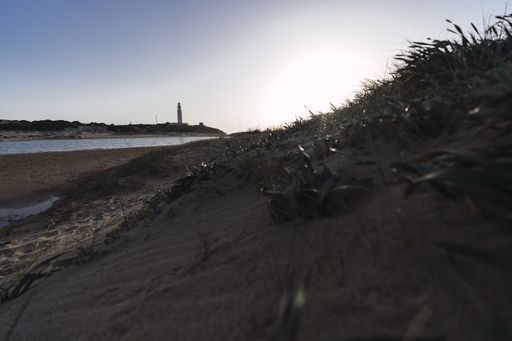 A beautiful shot of the shore near a lighthouse under a clear blue sky