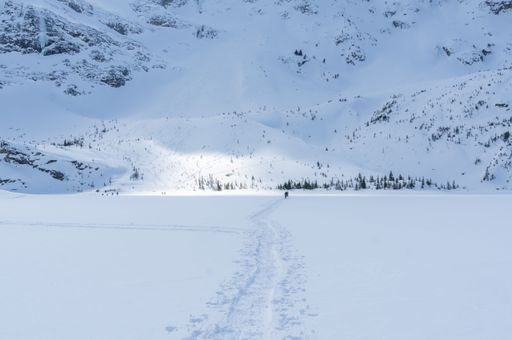 A majestic snow-covered mountain seen through a path with tracks on a sunny day