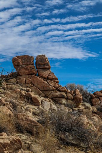 The Joshua Tree National Park with its majestic desert landscape and beautiful rock formations and fauna