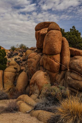 The Joshua Tree National Park with its majestic desert landscape and beautiful rock formations and fauna