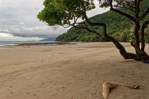 A scenic view of a sandy beach with green vegetation on a cloudy day