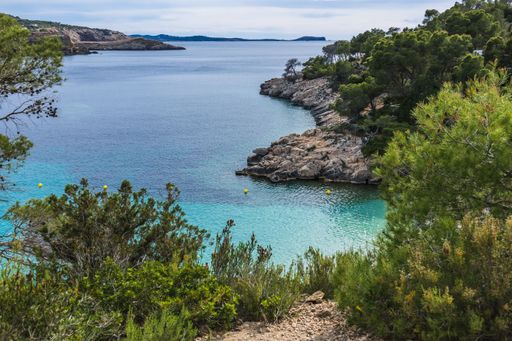 A tranquil beach scene showcases a stunning shoreline with the crystal clear waters