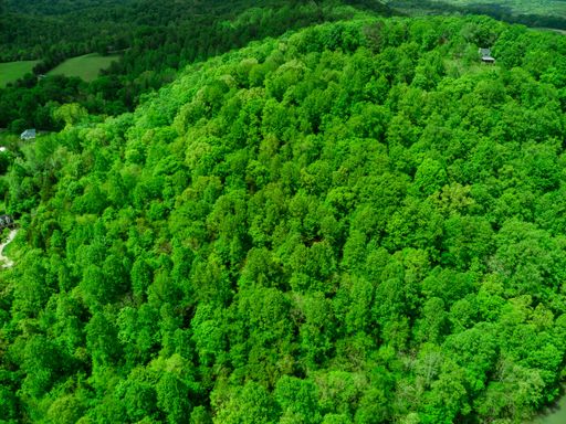 Aerial view of a lush green forest in summer, with tall trees and bright sunshine