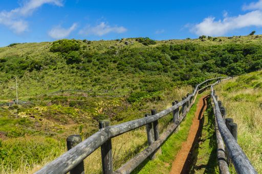 A narrow path in Furnas do Enxofre, Terceira, Azores, Portugal