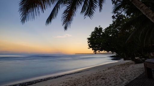 A picturesque view of a serene beach at sunrise, with palm trees in the background providing a tropical ambiance