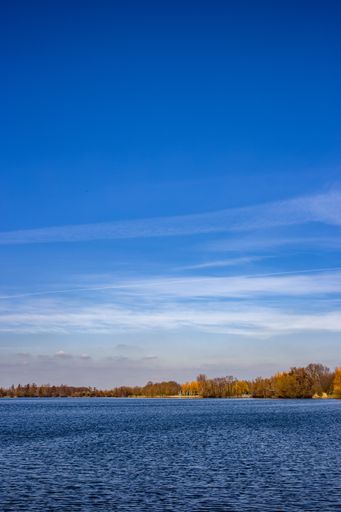 A vertical shot of a lake shore near a forest under a blue sky