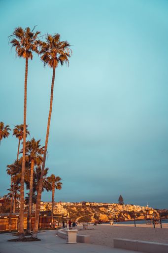 A stunning view of a beach with several palm trees and houses on rocks