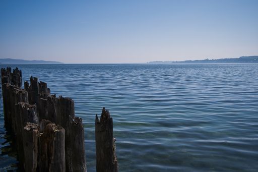 A closeup of the wooden logs of an old pier in the sea under the sunlight
