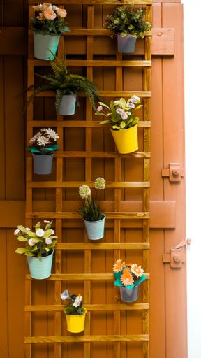 A vertical shot of a variety of potted plants on a wooden shelf