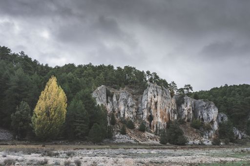 Rocky landscape with limestone mountains and green trees on a gray and cloudy autumn day in the wolf river canyon. Soria. Spain