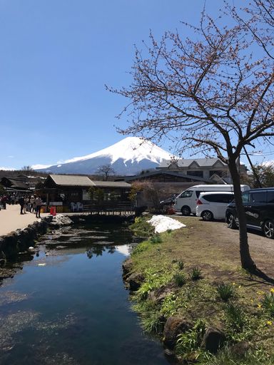 A river with cars and traditional Japanese houses on the shore with Mount Fuji in the background.