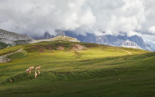 Majestic horses standing in a lush green grassy field with a backdrop of majestic mountains and dramatic clouds