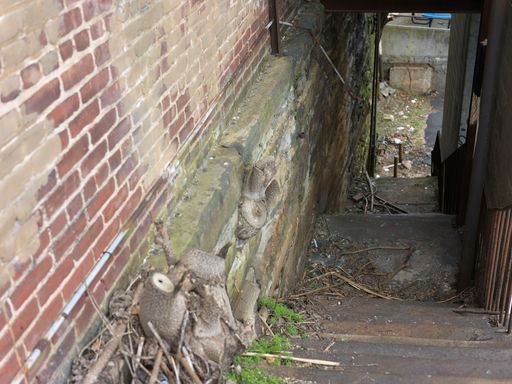 A side view of a building showing the destruction of the exterior stairs