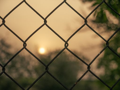 A selective shot of a metallic fence on olive field background during sunset