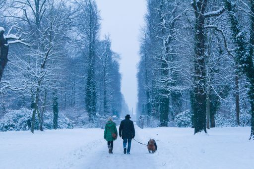 Two people walking down a path blanketed in snow, with a dog held securely in one of their hands
