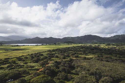 An aerial shot of a tranquil lake surrounded by lush greenery and majestic mountains in Kauai, Hawaii