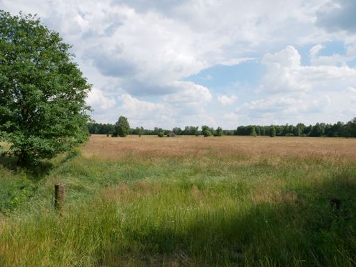 A vibrant landscape is illuminated by the sun's rays, with lush fields of green stretching out into the horizon