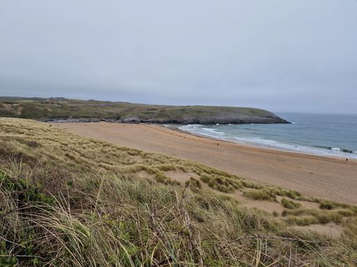 A scenic view of a shoreline covered with green meadow against the sea on a cloudy day