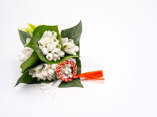 A closeup of snowdrops with red and white ribbon string isolated on a white background