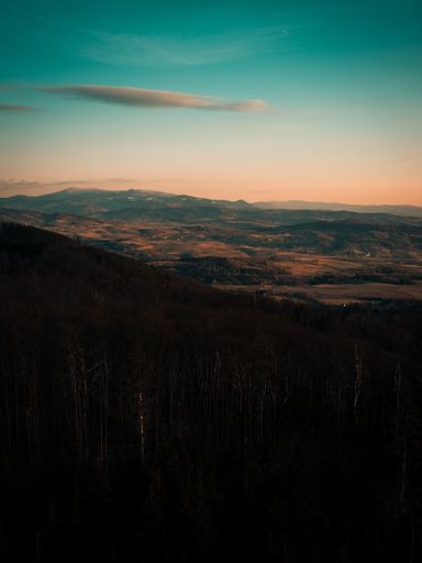A vertical shot of hills covered in trees under the sunlight during the sunset in the evening