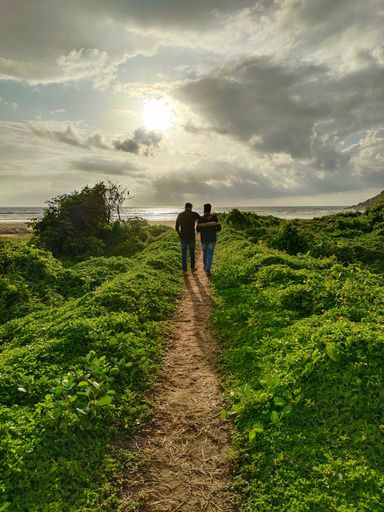 A back view of friends walking in greenery field