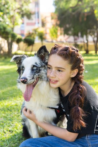 Vertical portrait of a red haired little girl with braids and freckles smiling, sitting in the park with her black and white dog