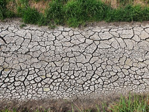 A high angle of cracked dried soil pathway with grass on sides