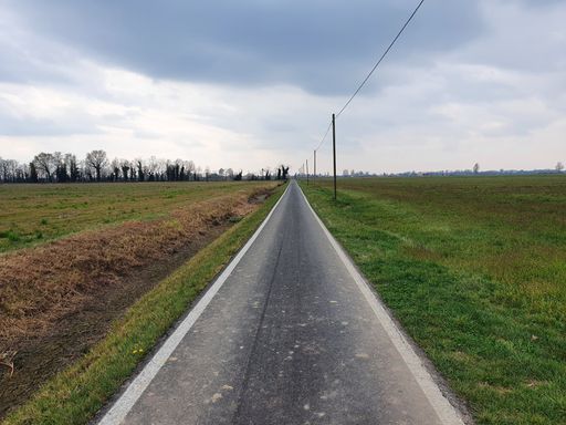A narrow asphalt road crossing the field against the cloudy sky