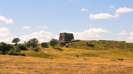 A picturesque landscape featuring a rolling grassy meadow in shades of brown and green, with a small rock tower visible in the background