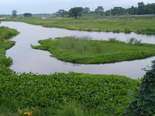 An idyllic landscape with a lake surrounded by lush green fields