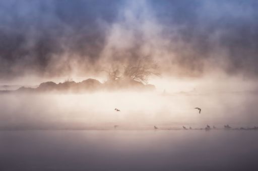 A picturesque scene of the foggy Susquehanna River on a tranquil morning